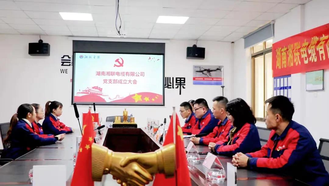 新征程 | 熱烈祝賀湖南湘聯(lián)電纜有限公司黨支部正式成立！