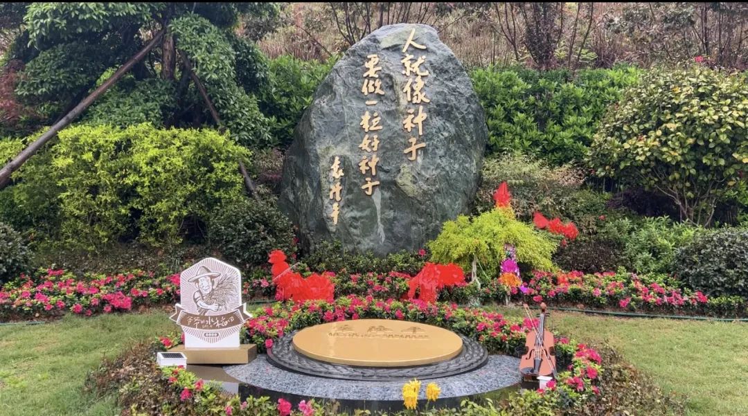 禾下乘涼夢，一稻一人生 我們永遠(yuǎn)懷念袁爺爺 #安全用電你我湘聯(lián)