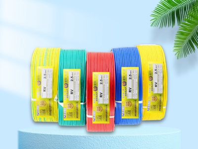 什么是RVVP屏蔽線？